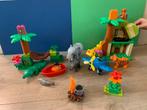 10804 Lego Duplo jungle around the world, Ophalen of Verzenden, Gebruikt, Complete set, Duplo