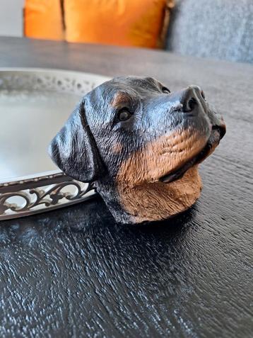 Te koop een rottweiler kopje van gips. beschikbaar voor biedingen