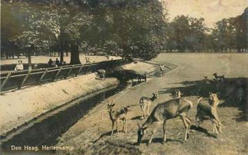 (301-086-051) Den Haag Hertenkamp beschikbaar voor biedingen
