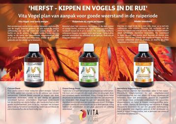 Herfst Met Vita Vogel  beschikbaar voor biedingen