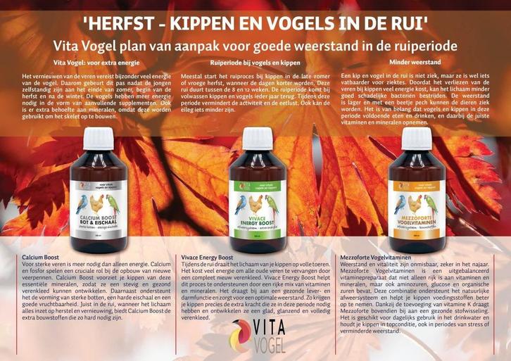 Herfst Met Vita Vogel, Dieren en Toebehoren, Vogels | Toebehoren, Nieuw, Overige typen, Verzenden