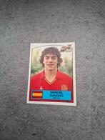 Panini sticker Euro 88 Duitsland. Manuel Sanchis Spanje., Verzenden, Zo goed als nieuw, Sticker