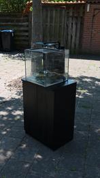 Zoutwater aquarium 60L met kast, Ophalen, Gebruikt, Leeg aquarium
