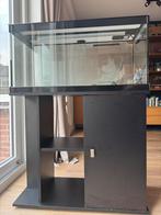 Aquarium 80x35x40 met kast 80x69 en pomp, verwarming extras, Ophalen, Leeg aquarium