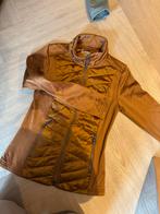 Lemieux vest maat 34, Dieren en Toebehoren, Paardrijkleding, Ophalen of Verzenden, Zo goed als nieuw, Dressuur, Bovenkleding