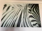 Schilderij zebra ikea, Ophalen