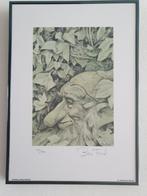 Brian Froud Art print gesigneerd en genummerd en ingelijst, Ophalen of Verzenden