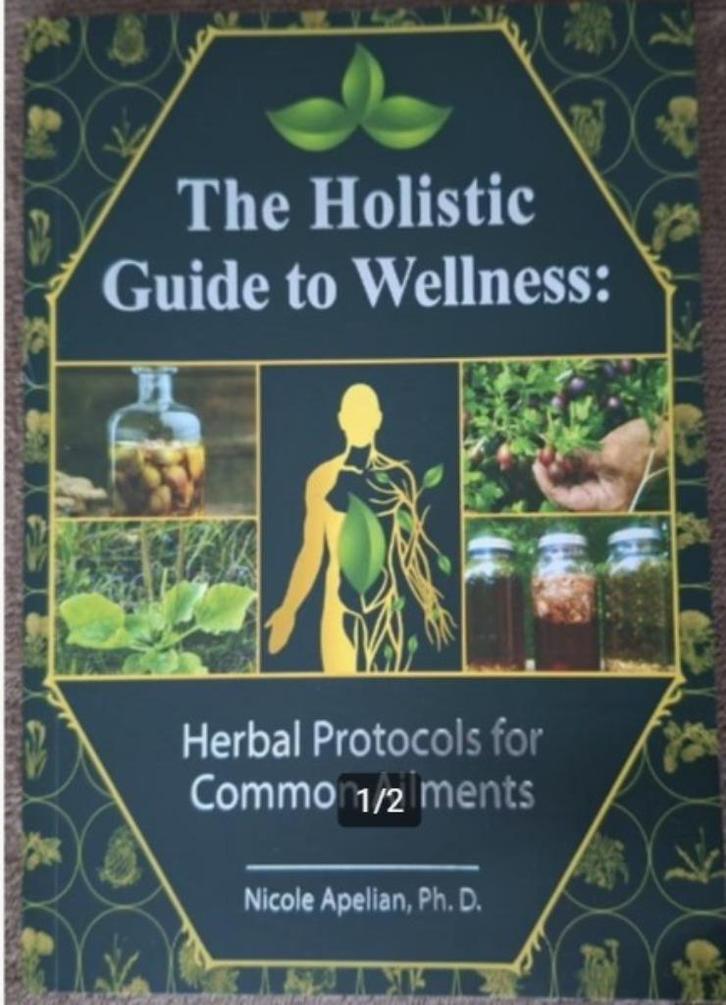 The Holistic Guide to Wellness - Engelstalig, Boeken, Gezondheid, Dieet en Voeding, Nieuw, Kruiden en Alternatief, Ophalen of Verzenden