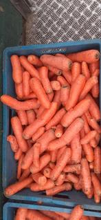 Wortels - Voederwortels, Dieren en Toebehoren, Dierenvoeding, Ophalen of Verzenden