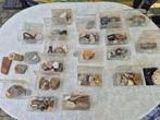 Stenen, mineralen en fossielen, Ophalen, Fossiel