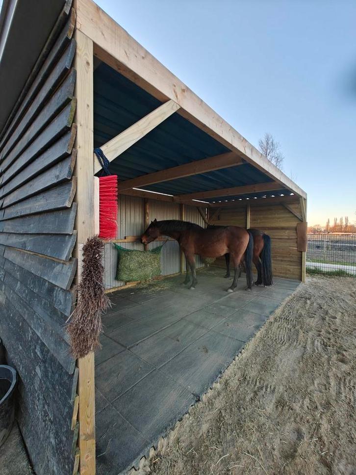 Paddock Paradise in de maak!, Dieren en Toebehoren, Stalling en Weidegang