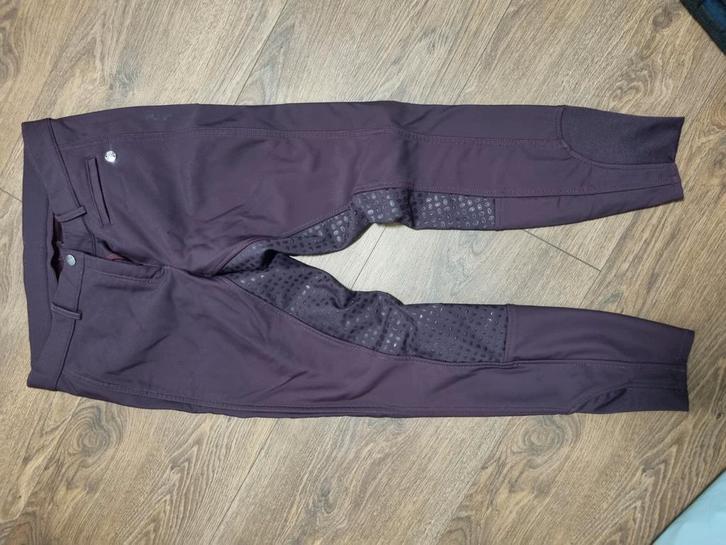 Diverse rijbroeken, Dieren en Toebehoren, Paardrijkleding, Zo goed als nieuw, Bovenkleding, Dressuur, Ophalen