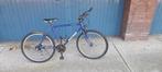 raleigh, Ophalen, Gebruikt, Staal, Cruiser
