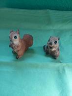 Eekhoorn   Squirrel, Ophalen of Verzenden, Zo goed als nieuw, Dier