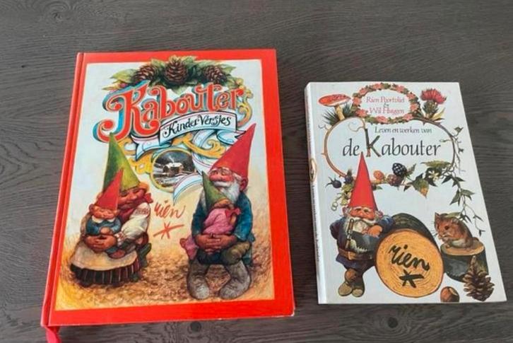 David de Kabouter- Rien Poortvliet, Boeken, Kinderboeken | Jeugd | onder 10 jaar, Zo goed als nieuw, Sprookjes, Ophalen of Verzenden