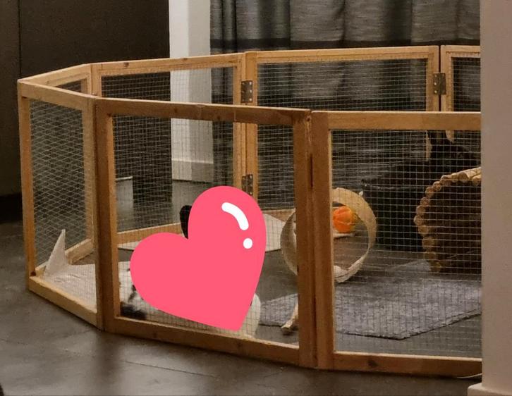 Trixie konijnenren / caviaren / houten ren, Dieren en Toebehoren, Knaagdieren en Konijnen | Hokken en Kooien, Zo goed als nieuw