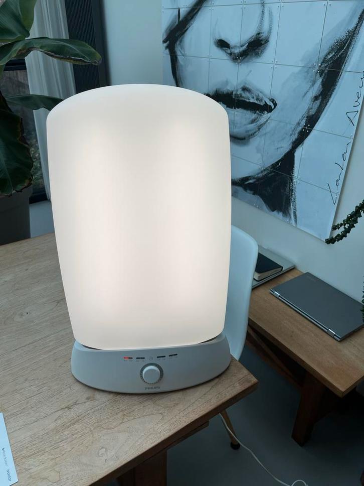 Philips EnergyLight Daglichtlamp, Huis en Inrichting, Lampen | Overige, Zo goed als nieuw, Ophalen of Verzenden