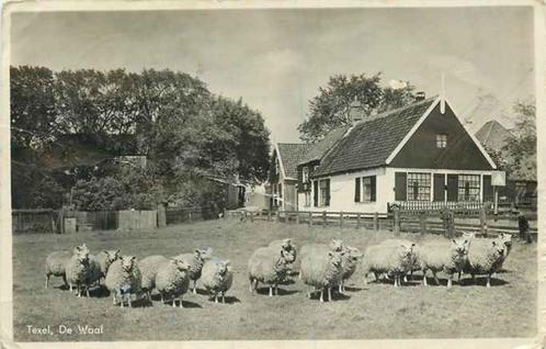 (301-364-023) Texel de Waal, Verzamelen, Ansichtkaarten | Nederland, Verzenden