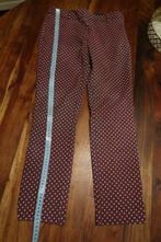 Mng Suit geweldige broek bordo wit zwart S, Overige kleuren, MNG, Ophalen of Verzenden, Zo goed als nieuw