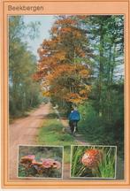 Beekbergen 2367, Verzamelen, Ansichtkaarten | Nederland, Verzenden, Voor 1920, Gelopen, Gelderland