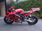 Honda cbr 600 rr, Sportuitlaat, 4 cilinders, Motorrijbewijs A, Bedrijf