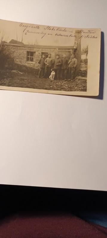 Oude foto: Groep mannen met hond beschikbaar voor biedingen