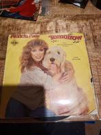 Patricia paay - tomorrow, Ophalen of Verzenden, Zo goed als nieuw, Overige formaten, Levenslied of Smartlap