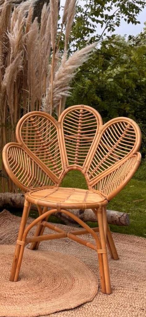 Rotan Bloemenstoelen - Peacock Chairs Set, Huis en Inrichting, Stoelen, Gebruikt, Twee, Riet of Rotan, Bruin, Ophalen