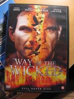 Way of the wicked - spannende thriller, Bovennatuurlijke thriller, Zo goed als nieuw, Verzenden, Vanaf 16 jaar