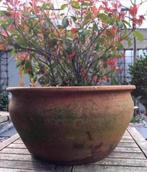 Oud Hollandse antieke terracotta bloempot 36cm, Tuin en Terras, Bloempotten, 25 tot 40 cm, Gebruikt, Rond, Binnen