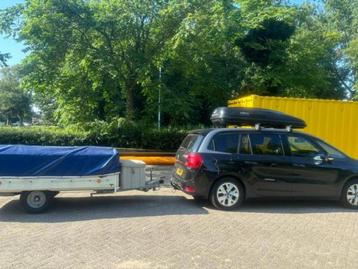 Jamet Louisiana (1005049) beschikbaar voor biedingen