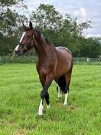 Verzorger gezocht, Diensten en Vakmensen