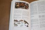 Elseviers zoogdierengids. Meer dan 230 beschreven soorten., Ophalen of Verzenden, Zo goed als nieuw, Vogels