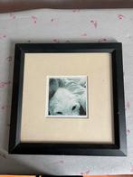 Leuke fotolijst te koop!, Ophalen of Verzenden, Zo goed als nieuw