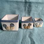 Set van 3 plantenbakjes met een cactus erop, Ophalen of Verzenden, Cactus, Minder dan 100 cm
