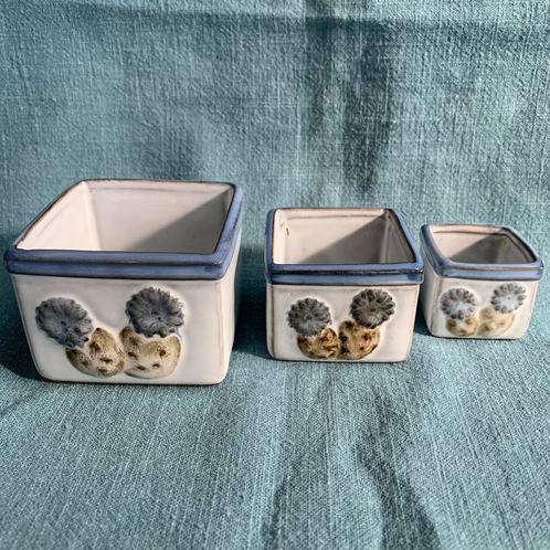 Set van 3 plantenbakjes met een cactus erop, Huis en Inrichting, Kamerplanten, Cactus, Minder dan 100 cm, Ophalen of Verzenden