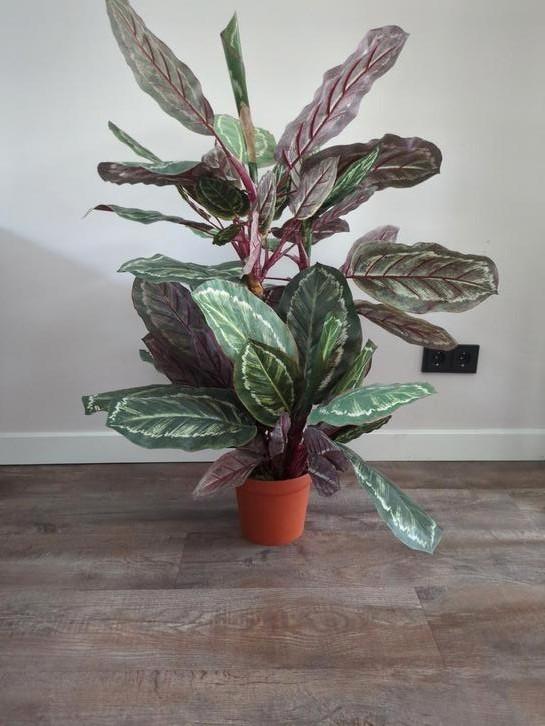 kunstplant Calathea H 110 cm, Huis en Inrichting, Woonaccessoires | Kunstplanten en Kunstbloemen, Nieuw, Binnen, Ophalen