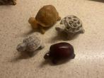 Schildpadden beeldjes - set van 4, Tuin en Terras, Tuinbeelden, Ophalen of Verzenden, Gebruikt, Steen, Dierenbeeld
