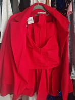 Kostuums, Kleding | Dames, Carnavalskleding en Feestkleding, Ophalen of Verzenden, Zo goed als nieuw