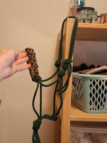 Nieuw touwhalster mini shet beschikbaar voor biedingen