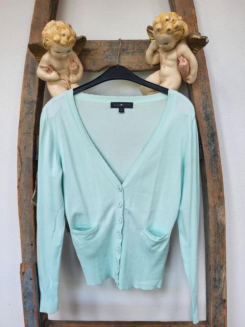 Anna Scott vestje maat M spiksplinternieuw!!, Kleding | Dames, Truien en Vesten, Nieuw, Ophalen of Verzenden