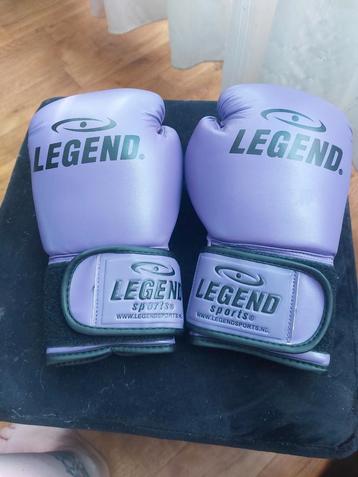 Paarse Legend Bokshandschoenen 10oz beschikbaar voor biedingen