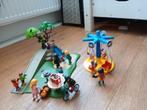 playmobil speeltuin in het park, Kinderen en Baby's, Speelgoed | Playmobil, Ophalen of Verzenden, Gebruikt