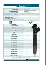 Gereviseerd Delphi Verstuiver 28602948 28319895 28388960, Ophalen of Verzenden, Gereviseerd, Ford