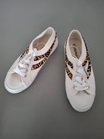 Superga sneakers, Ophalen of Verzenden, Zo goed als nieuw