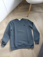 Heren sweater Daily Aesthetikz, groen maat M, Kleding | Heren, Truien en Vesten, Maat 48/50 (M), Ophalen of Verzenden, Zo goed als nieuw