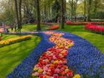 Keukenhof tickets 4 mei, Tickets en Kaartjes, Evenementen en Festivals, Twee personen