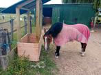 Hooiruif, Dieren en Toebehoren, Paarden en Pony's | Overige Paardenspullen, Ophalen of Verzenden, Nieuw, Overige soorten
