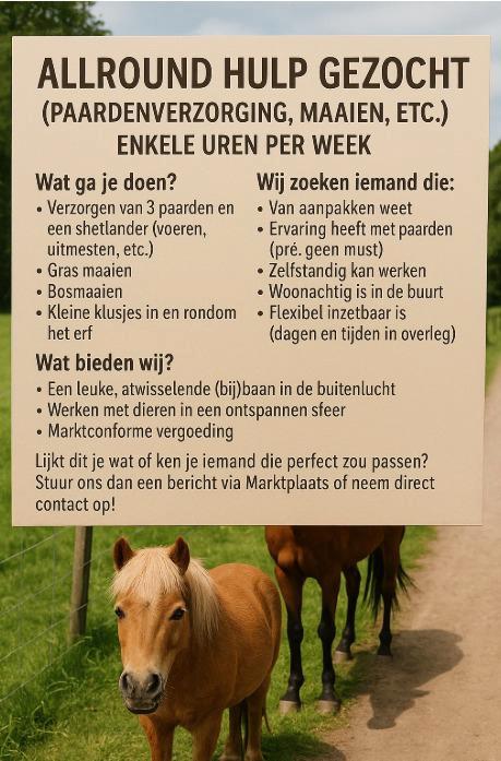 Allround hulp gezocht omgeving Loon op zand, Diensten en Vakmensen, Dieren | Overige | Verzorging, Oppas en Les, Verzorging, Komt aan huis