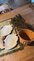 Lot pauwenveren Japanse visschaaltjes terracotta bloempot, Ophalen of Verzenden, Gebruikt